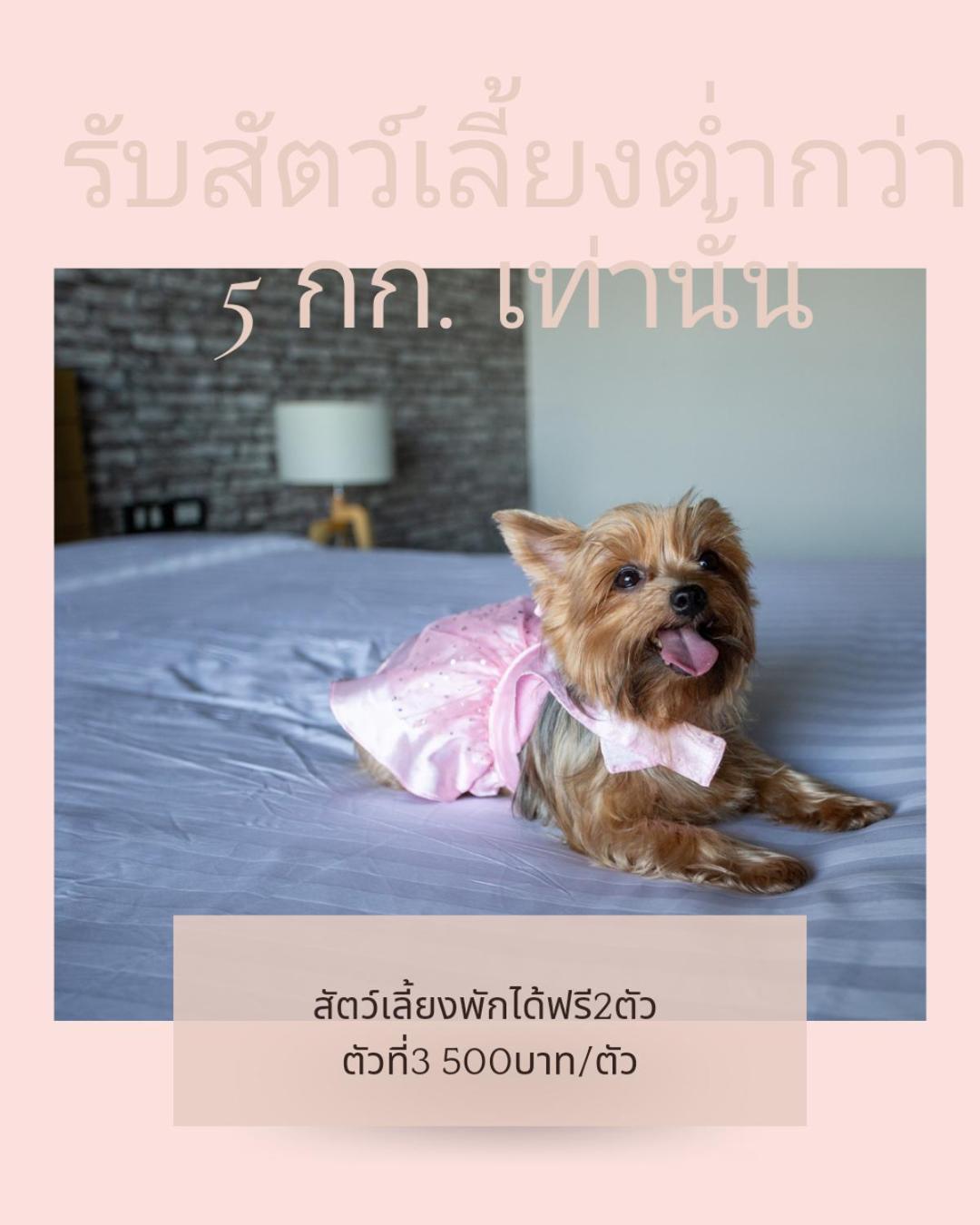 Get Zleep Premium Budget Hotel Čiang Mai Exteriér fotografie